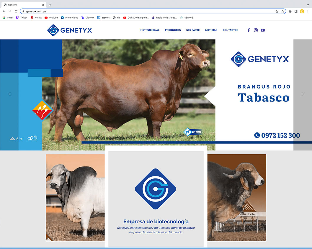 pagina web Genetyx